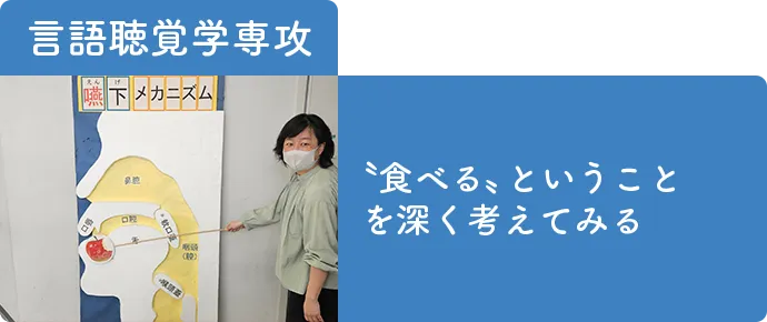言語聴覚学専攻-超音波（エコー）で 食べるしくみを 見てみよう！