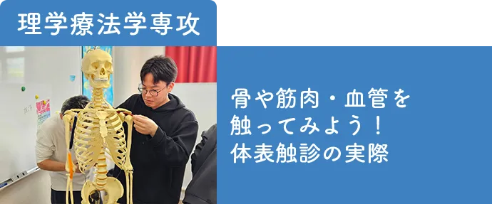 理学療法学専攻-あのメジャーリーガーも やっていた!? スペシャルテクニック！ PNFの実際