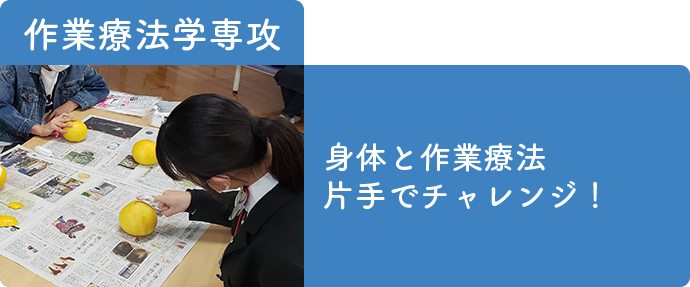 作業療法学専攻-発達障害と作業療法